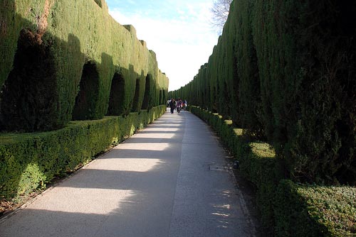 alhambra & generalife by leonardo bonanni