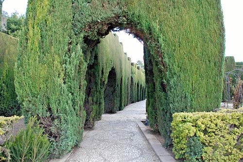 alhambra & generalife by leonardo bonanni